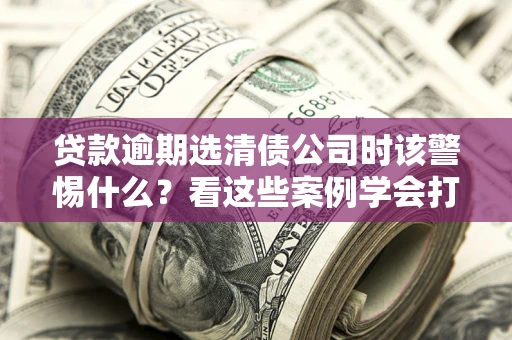 武汉贷款逾期选清债公司时该警惕什么？看这些案例学会打翻身仗