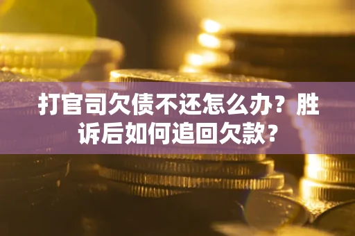 武汉打官司欠债不还怎么办？胜诉后如何追回欠款？