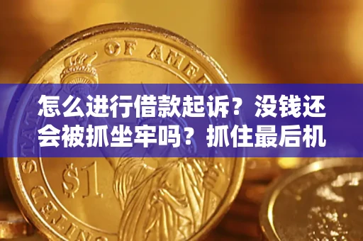 武汉怎么进行借款起诉？没钱还会被抓坐牢吗？抓住最后机会！