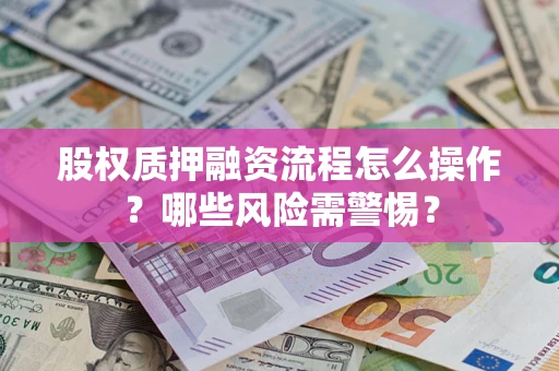 武汉股权质押融资流程怎么操作？哪些风险需警惕？