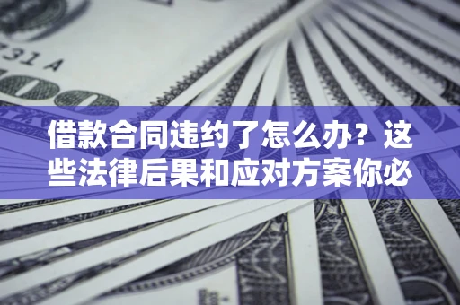 武汉借款合同违约了怎么办？这些法律后果和应对方案你必须知道