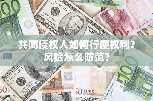 武汉共同债权人如何行使权利？风险怎么防范？