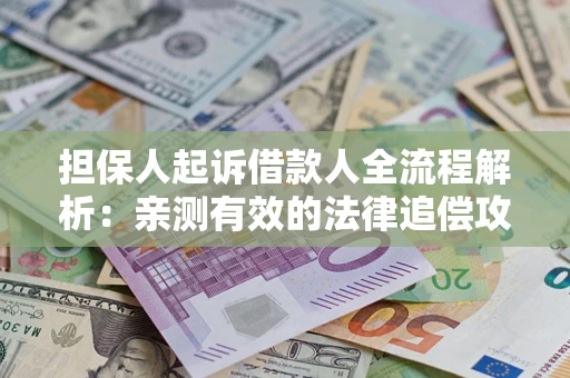武汉担保人起诉借款人全流程解析：亲测有效的法律追偿攻略