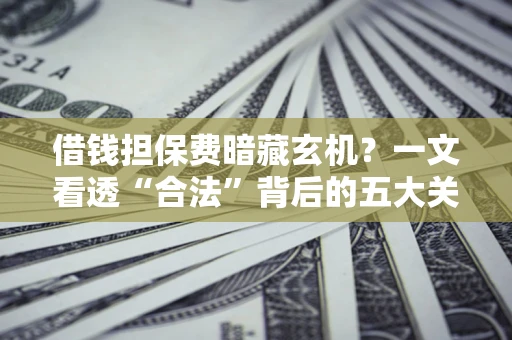 武汉借钱担保费暗藏玄机？一文看透“合法”背后的五大关键陷阱