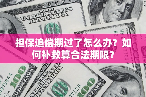 武汉担保追偿期过了怎么办？如何补救算合法期限？