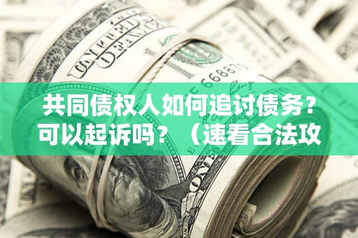 武汉共同债权人如何追讨债务？可以起诉吗？（速看合法攻略）