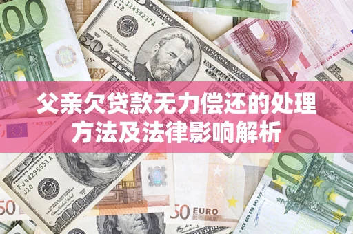 武汉父亲欠贷款无力偿还的处理方法及法律影响解析