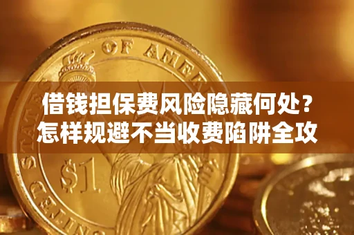 武汉借钱担保费风险隐藏何处？怎样规避不当收费陷阱全攻略！
