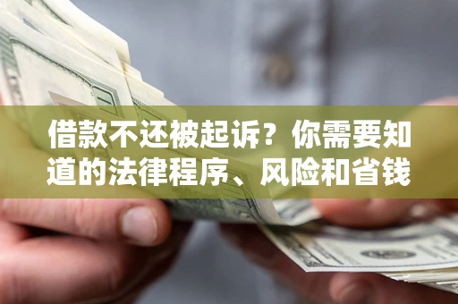 武汉借款不还被起诉？你需要知道的法律程序、风险和省钱技巧