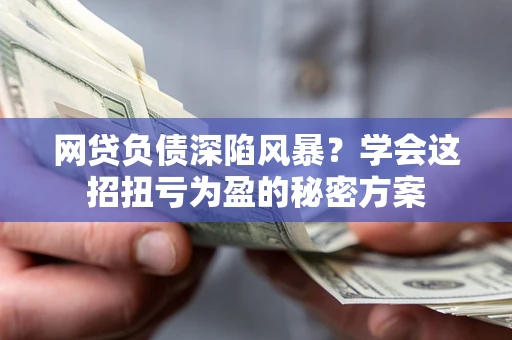武汉网贷负债深陷风暴？学会这招扭亏为盈的秘密方案