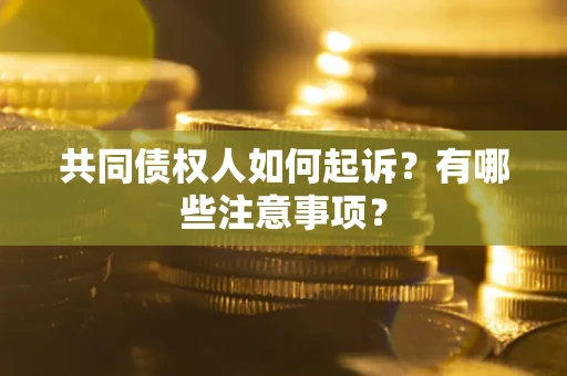 武汉共同债权人如何起诉？有哪些注意事项？